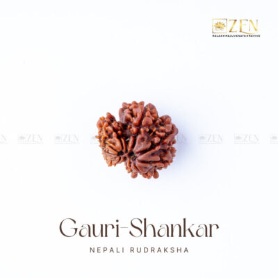 Gauri Shankar Rudraksha - Nepal